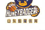 国王队vs 马刺队